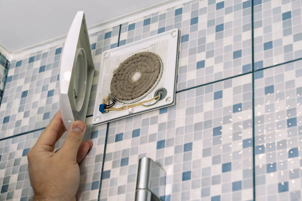 Best Professional Duct Cleaning Services  in Argentine, MI