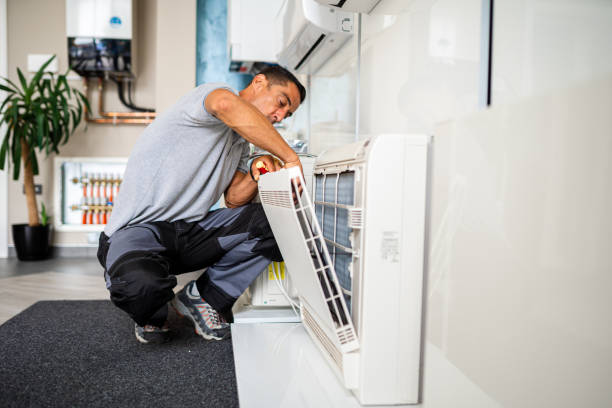 Best Affordable HVAC Duct Cleaning  in Argentine, MI