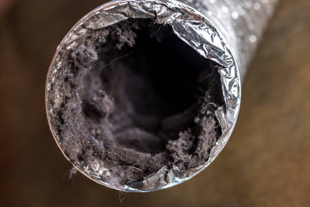 Best Best Air Duct Cleaning Near Me  in Argentine, MI