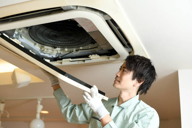Best HVAC Duct Inspection Services  in Argentine, MI