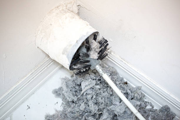 Best HVAC System Cleaning  in Argentine, MI