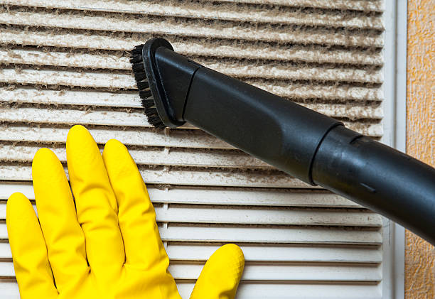 Best Ductwork Cleaning Services  in Argentine, MI