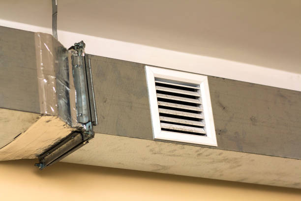 Best Home Air Vent Cleaning  in Argentine, MI