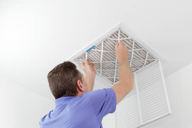 Best Residential Air Duct Cleaning  in Argentine, MI